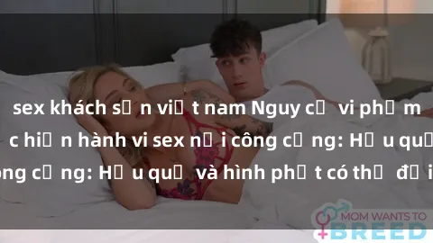 sex khách sạn việt nam Nguy cơ vi phạm pháp luật khi thực hiện hành vi sex nơi công cộng: Hậu quả và hình phạt có thể đối mặt